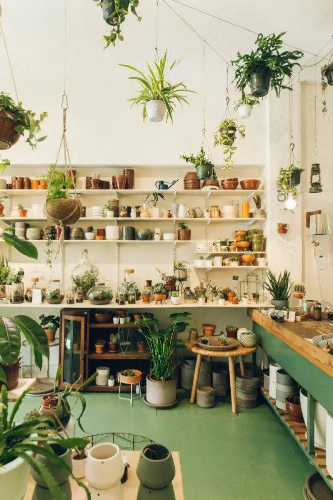 Wildernis-HR-10-e1505960790573